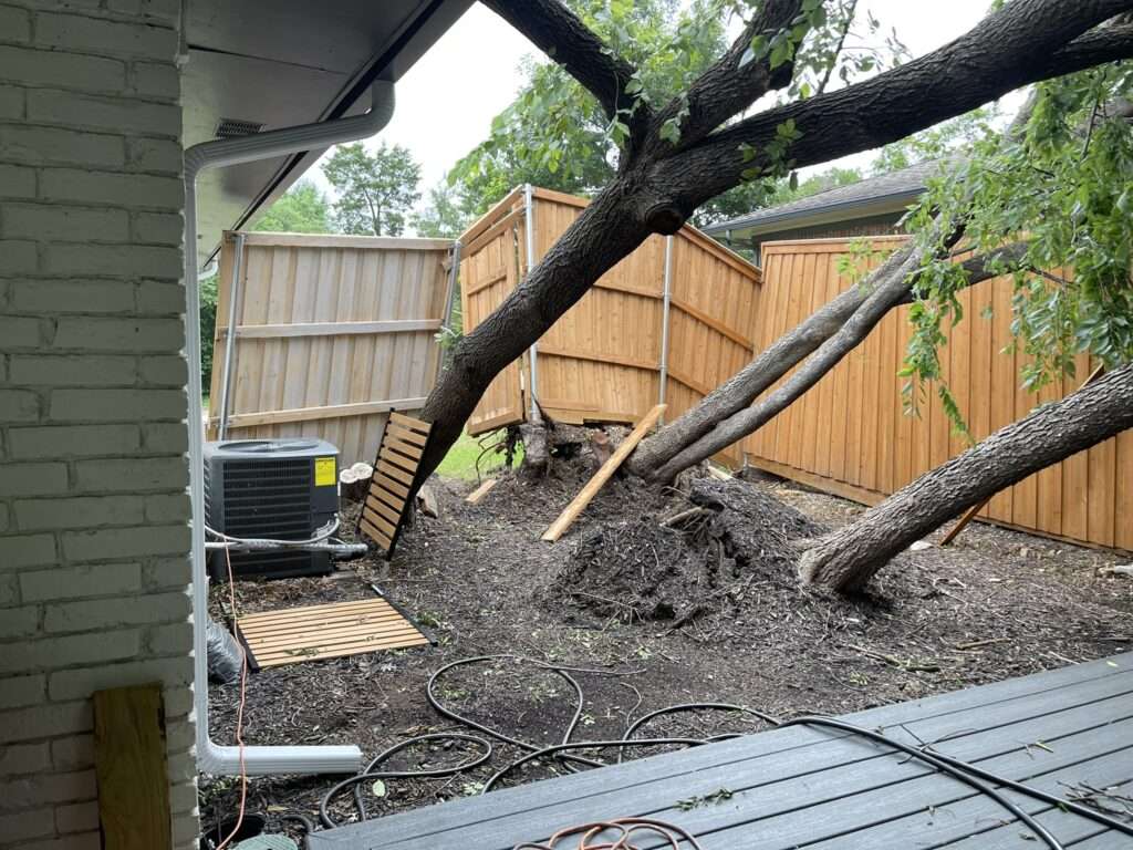 Tree Removal Services in Lewisville