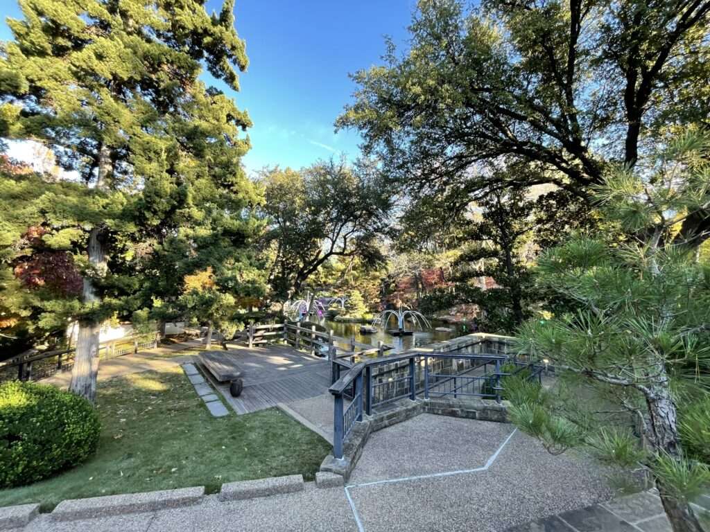 Tree Removal Services in Frisco