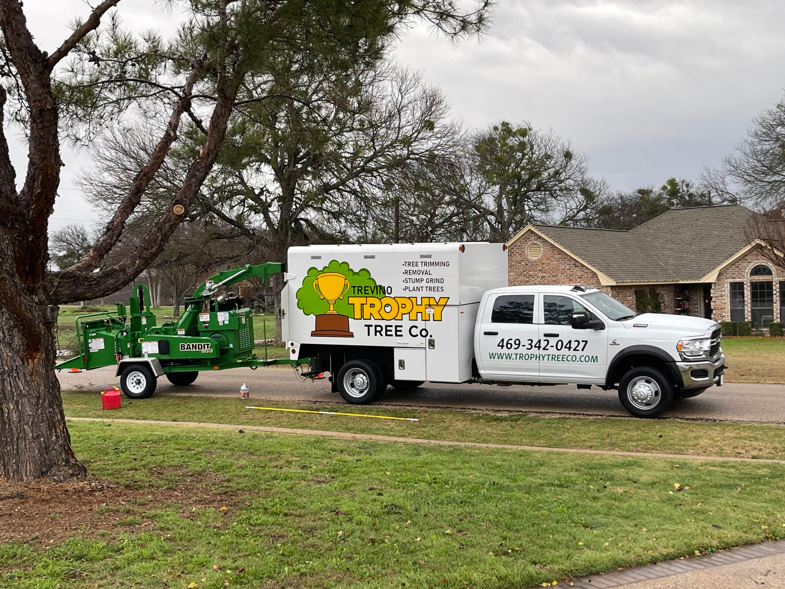 Trophy Tree work site